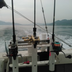 舞鶴：WarpZoneさん　イカメタル